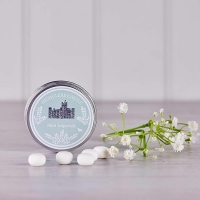 Mini Tin of Mints