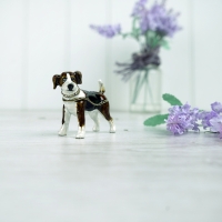 Brown and White Terrier Dog